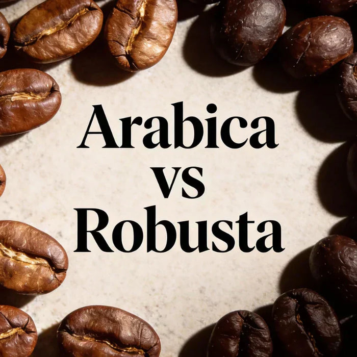 Arabica vs Robusta Coffee: How Bean Species Impacts Freshness Performance