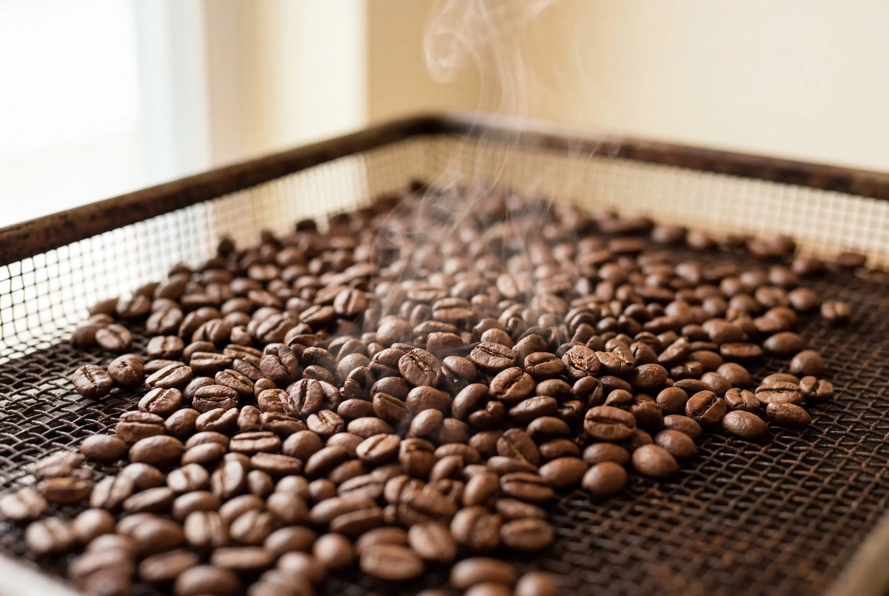 Coffee Degassing Explained: Why Fresh Coffee Releases CO₂ After Roasting