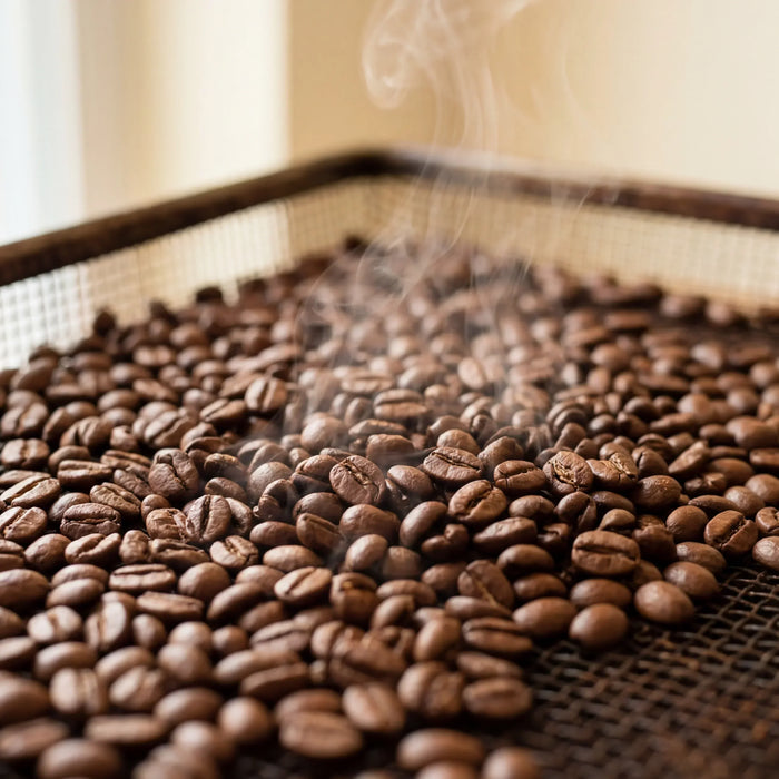 Coffee Degassing Explained: Why Fresh Coffee Releases CO₂ After Roasting