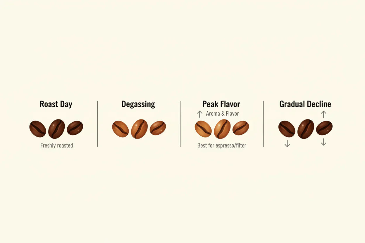 How Long Does Coffee Last After Roasting? The Freshness Timeline Explained