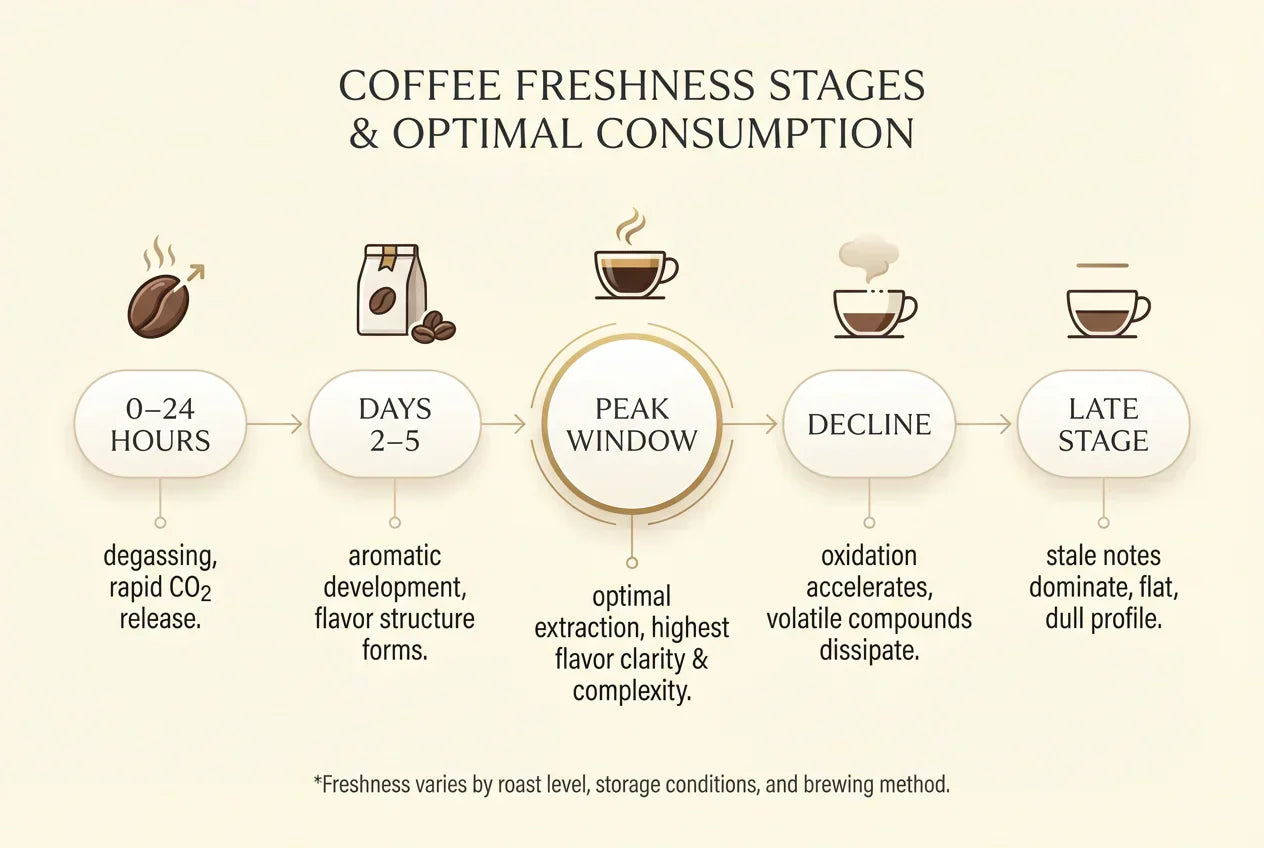 The Coffee Freshness Timeline: How Coffee Changes After Roasting