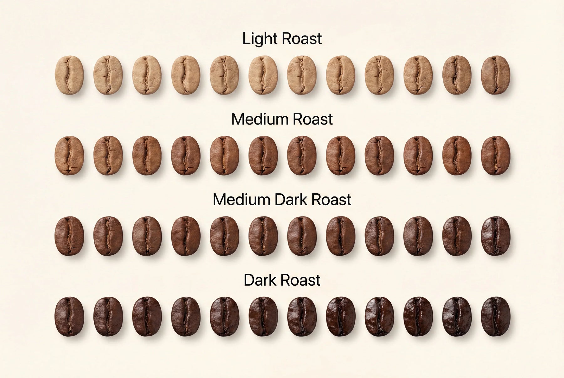 The Four Main Coffee Roasts: How Roasting Shapes Flavor, Freshness, and Extraction