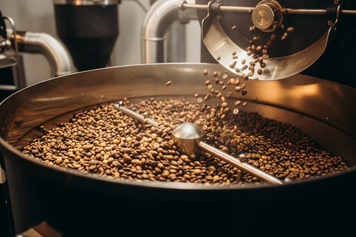 How Roasting Changes Coffee Chemistry (And Why It Matters for Flavor)