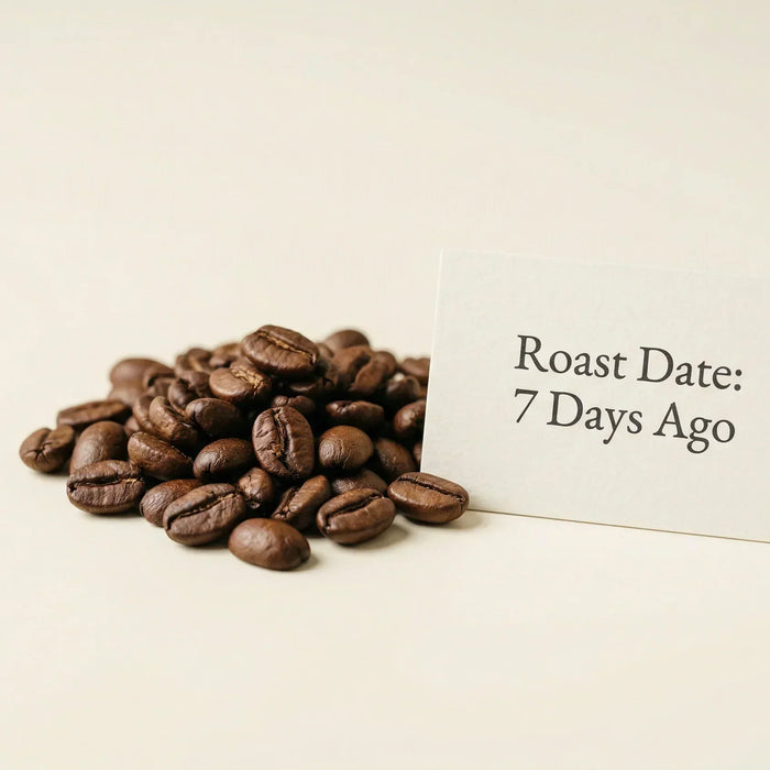 The Complete Guide to Fresh Roasted Coffee: Why Freshness Determines Flavor Performance
