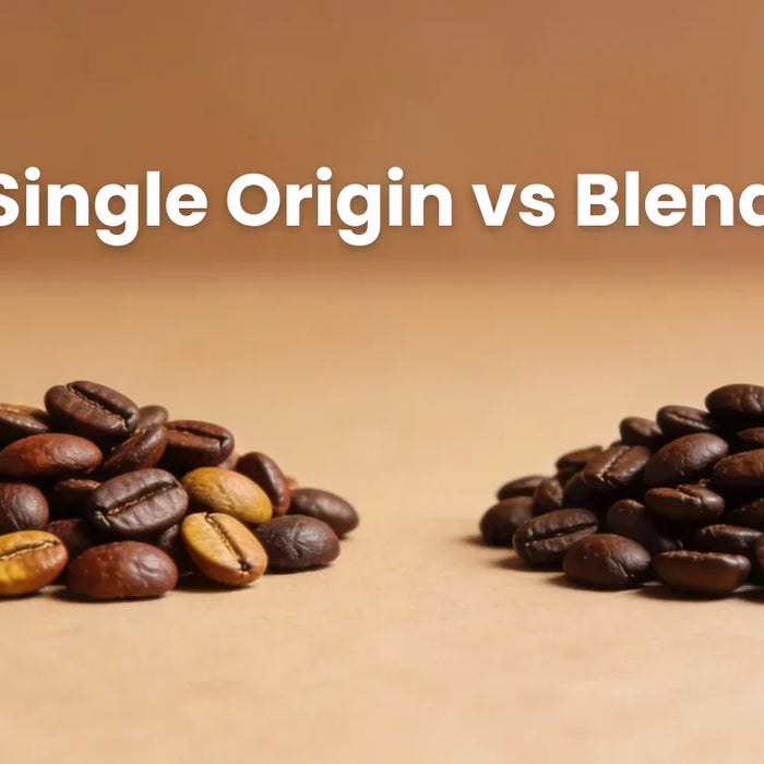 Single Origin vs Blend: Which Should You Buy?