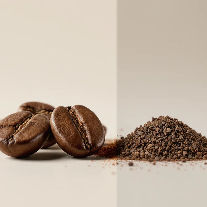 Whole Bean vs Ground Coffee Shelf Life