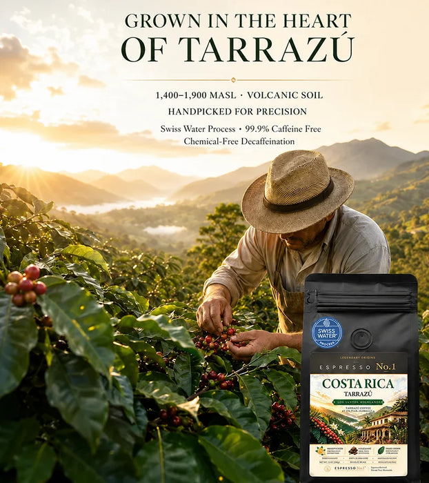 Costa Rica Tarrazú · Decaf