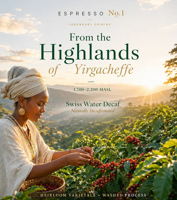 Ethiopian Yirgacheffe · Decaf