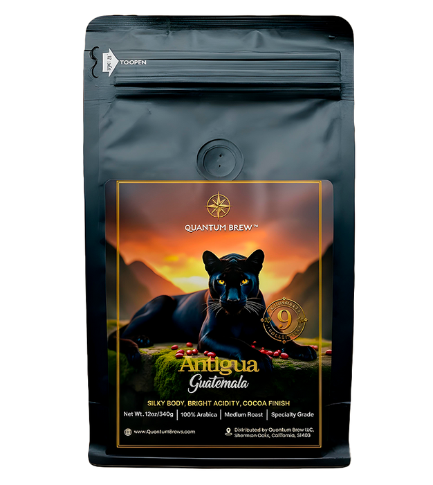 Guatemala Antigua Quantum Brew Coffee bag