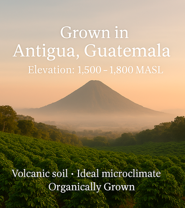 Guatemala Antigua