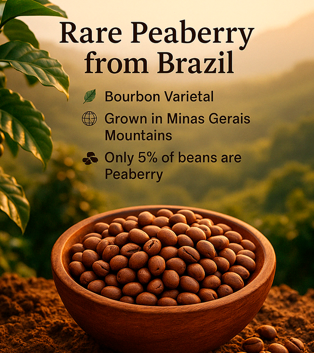 Brazil – Bourbon Peaberry