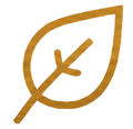 Premium arabica