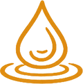 Feature icon